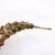 Brass Vintage Mexican Articulated Abalone Shell Fish Bottle Opener Sculpture For Sale - Image 8 of 10