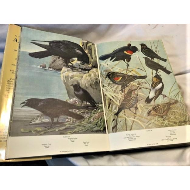 American Natural History of American Birds of Eastern & Central America Book For Sale - Image 3 of 11