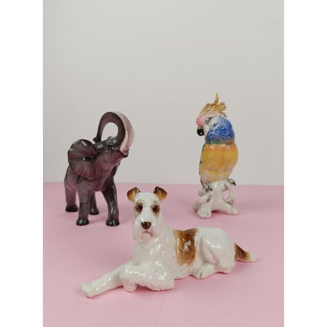 Porcelain Figurine in the Shape of a Wire Fox Terrier from Hutschenreuter, 1950s For Sale - Image 18 of 18