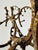 Sculpture Mid Century For Sale - Image 11 of 12
