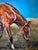 2020s "Que Curiosa" ~ Willie Britt, Original Acrylic Painting. For Sale - Image 5 of 8