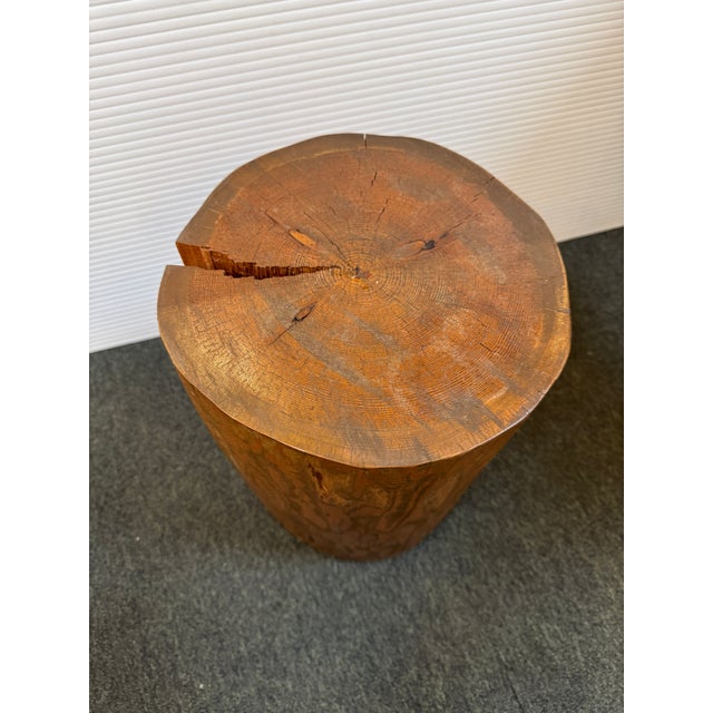 Organic Tree Stump Side Table/Stool For Sale - Image 10 of 12