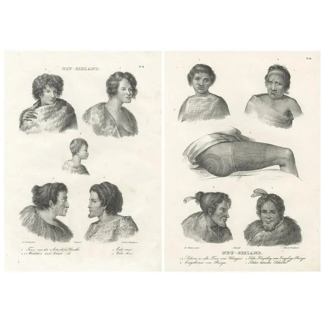 Paper Dumont d’Urville, Portraits of Maori Life and Tattoo Art in New Zealand, 1836, Print For Sale - Image 7 of 7