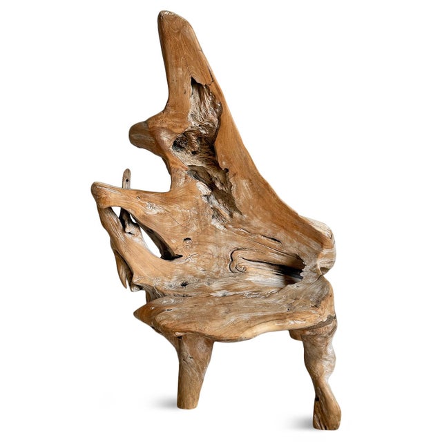 Early 21st Century Vintage Organic Solid Teak Root Chair For Sale - Image 5 of 7