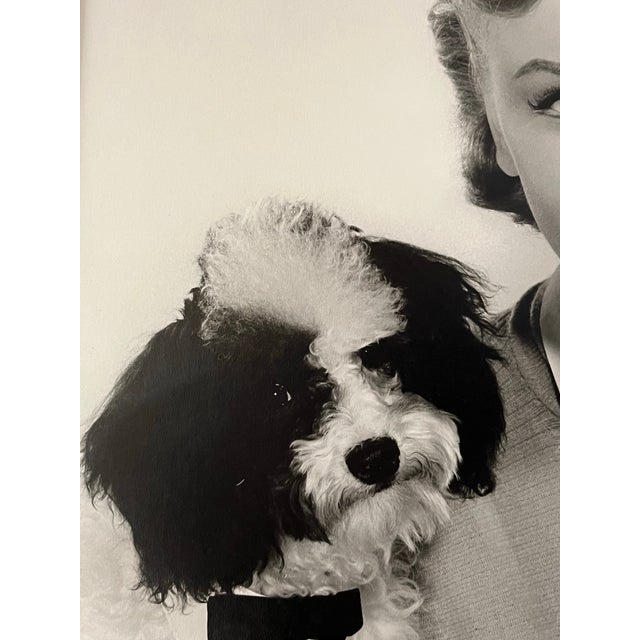 Ebony Vintage Hollywood Glamour Photograph Portrait of Connie Francis by Virgil Apger For Sale - Image 8 of 9