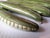 Ceramic Italy Peas on a Plate Trompe l'Oeil Este Ceramiche Majolica For Sale - Image 7 of 10