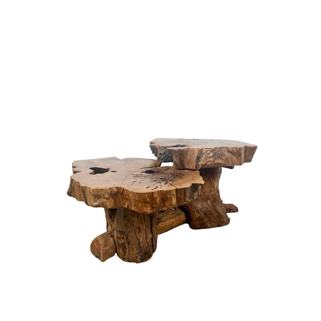 Vintage Organic Modern Two-Tier Live Edge Wood Coffee Table For Sale - Image 10 of 18