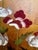 Vintage Hiyakuho Imayasu Japanese Hand-Painted Floral Gold Byobu Screen For Sale - Image 10 of 18