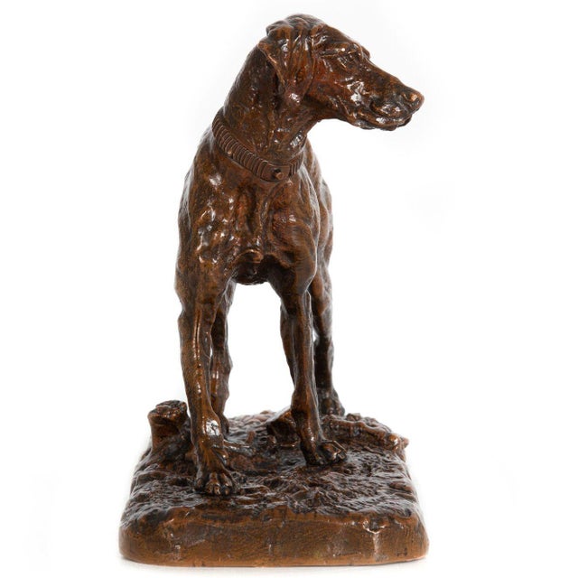Early 20th Century French Bronze Sculpture "Chien Braque" by Pierre-Jules Mene For Sale - Image 5 of 18