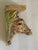 Mid 29 th c Figural sculptural safari giraffe wall bracket.