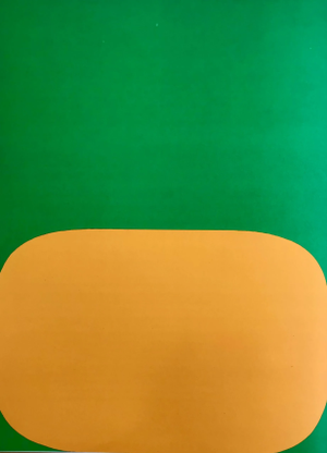 1964 Ellsworth Kelly Original Lithograph Derriere Le Miroir Dm04149