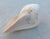 Shell Conch Shell Redo Sculpture For Sale - Image 7 of 7