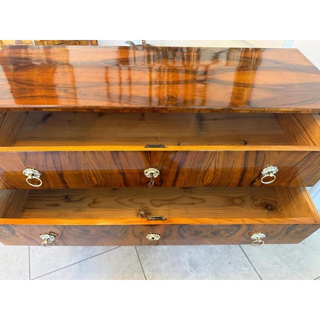Antique Biedermeier Walnut Veneered Chest of Drawers For Sale - Image 12 of 14