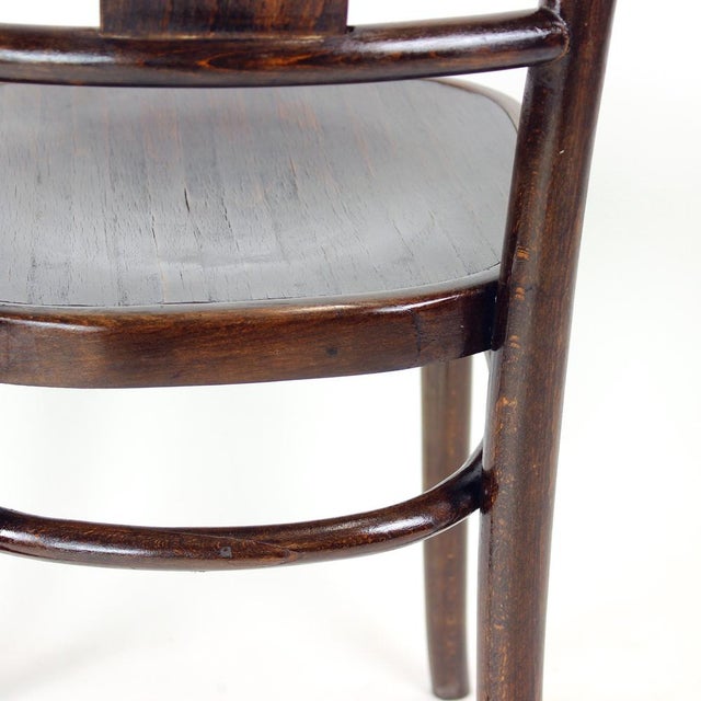 Vintage Bistro Chair in Oak from Ton, Czechoslovakia, 1950s For Sale - Image 9 of 12