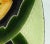 Green Italian Mid Century Enamel on Copper Vide Poche Tray For Sale - Image 8 of 14