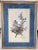 Traditional Late 19th Century John J. Aububon Bird Reproduction Print For Sale - Image 3 of 8
