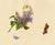 Louisa Hare, Butterflies on Lilac Flower, Watercolour For Sale - Image 7 of 7