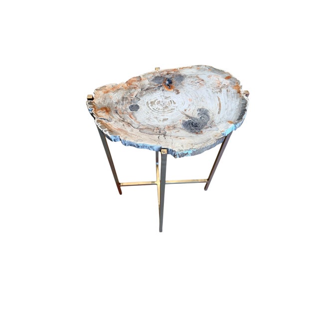 Extremely Rare Petrified Wood Slab Made Into a Table For Sale - Image 4 of 4