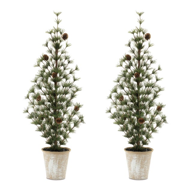 Create a warm and inviting holiday atmosphere with this Potted Mini Pine Tree Set. Standing about 2.5' tall, these lush...