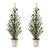 Create a warm and inviting holiday atmosphere with this Potted Mini Pine Tree Set. Standing about 2.5' tall, these lush...