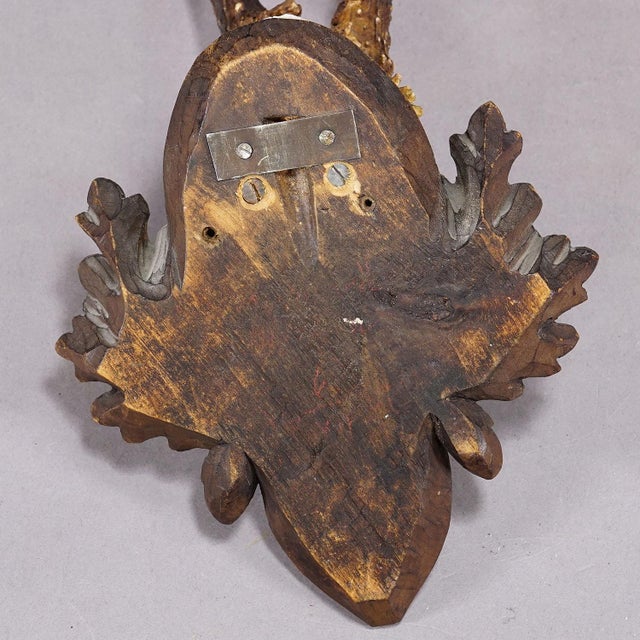 Early 20th Century Great Deer Trophy Mount on Wooden Carved Plaque 1937 For Sale - Image 5 of 6
