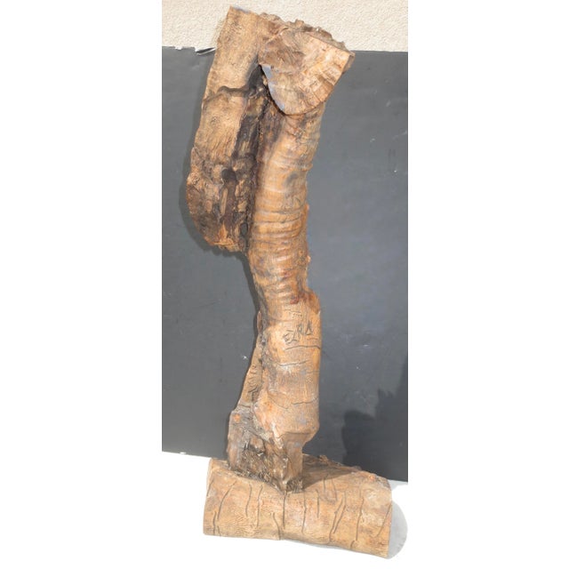 Burnt Umber Moses Olivewood Carving by Ezra For Sale - Image 8 of 8
