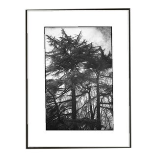 Paul Cooklin, Rome 00002, Edition of 50 For Sale