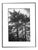 Paul Cooklin, Rome 00002, Edition of 50 For Sale