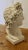 A Good Slightly Weathered Large Bust of Apollo This is a good looking bust, it has been on display outdoors so has a...