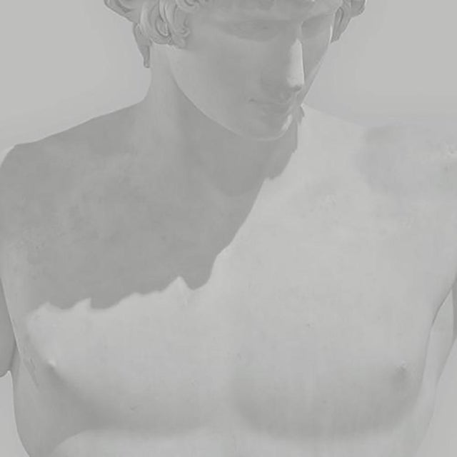 Benoit Lapray, Iconic Beauty #07, Photographic Print For Sale - Image 6 of 6