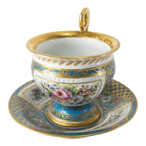 French Sevres Type Teacup and Saucer With Floral Decoration
