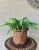 Stylish Late 20th-Century Rattan & Willow Pedestal Base Basket Cachepot For Sale - Image 12 of 12