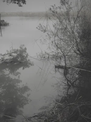Chelsea Fly Abstract Landscape Photograph #5 - Hidden Marsh