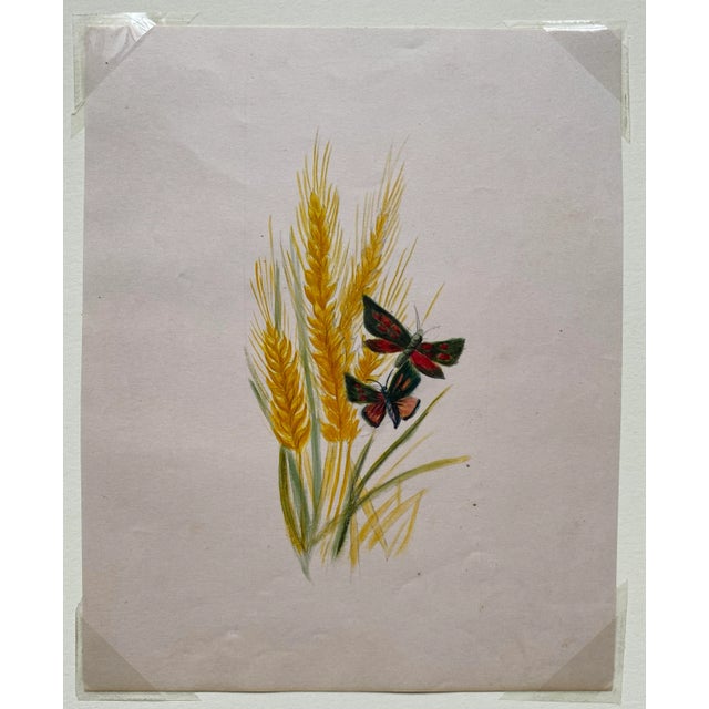 Antique 19th century botanical watercolor of flowers and butterflies. Unsigned.