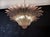 Murano Chandelier with Pink Palmette Glasses, 1990s For Sale - Image 9 of 18