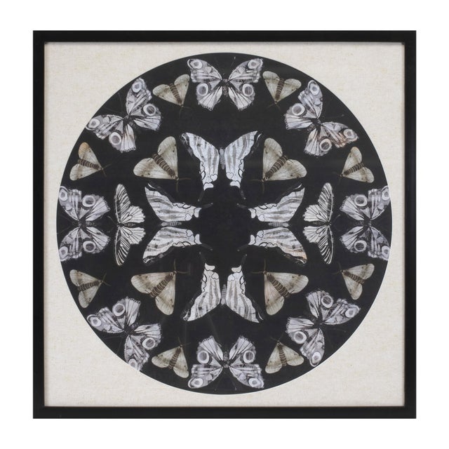 Bring timeless elegance and natural charm to your space with this 25" Framed Butterfly Print. Featuring delicate butterfly...