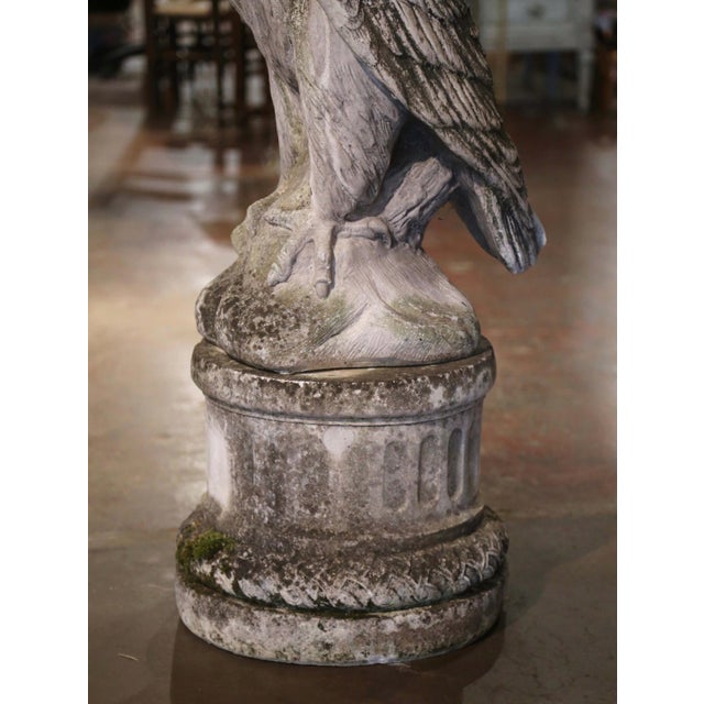 Mid Century French Cast Stone Eagle Garden Sculpture on Pedestal For Sale - Image 4 of 10
