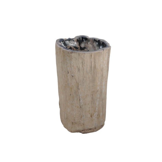 Petrified Wood Stand Alone Wash Basin by Xyleia Petrfied Wood For Sale - Image 9 of 9