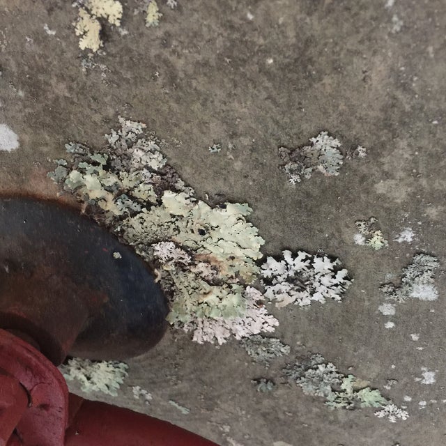 Red Blacksmith Pedal Grinding Wheel Chairish