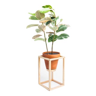 Trey Jones Studio Tall Frame Planter