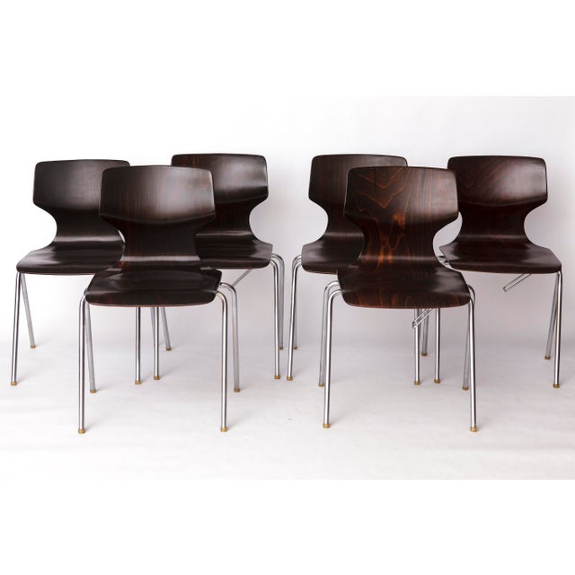 Vintage German Flötotto Pagwood Chairs in Chrome and Plywood, 1980s, Set of 6 For Sale - Image 11 of 11
