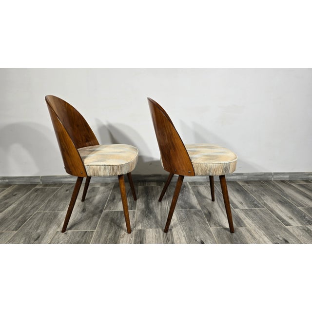 1960s Dining Chairs by Antonin Suman, 1960s, Set of 2 For Sale - Image 5 of 17