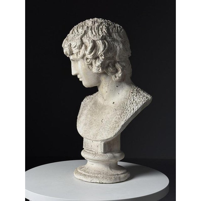 Classical Bust of Antinous, 2000s For Sale - Image 4 of 18