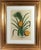 Green Botanical Hand-Colored Engraving of a Pineapple, Georg Eberhard Rumphius 1741–1750) For Sale - Image 8 of 8