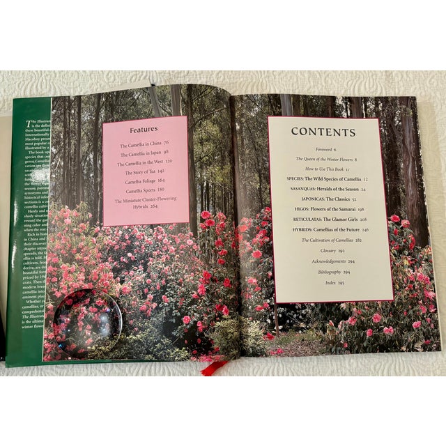 1990s Sterling Macaboy"s "The Illustrated Encyclopedia of Camellias" For Sale - Image 4 of 9