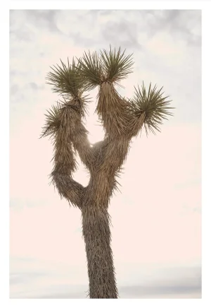 "Joshua Tree With Pastel Sky" Contemporary Color Photograph 24x36