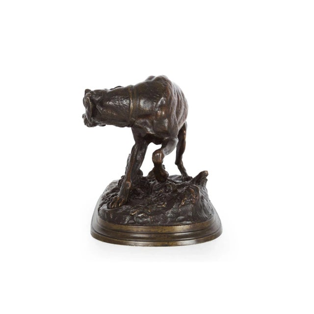 19th Century French Antique Bronze Sculpture of Pointer Dog by Pierre-Jules Mêne Circa 1880 For Sale - Image 5 of 12