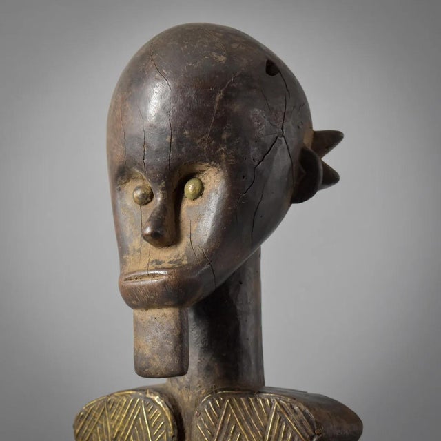 The Fang people, residing in Congo, Gabon, Equatorial Guinea, and Cameroon's rainforests, uphold a rich cultural heritage...