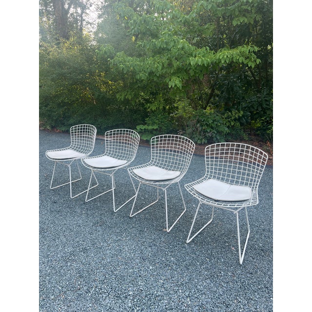 Mid-Century Modern A Set of Four Wire Chairs by Harry Bertoia for Knoll International, Circa 1970 For Sale - Image 3 of 18