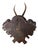 1900 - 1909 Roe Deer Trophy 149 Black Forest Antlers For Sale - Image 5 of 5